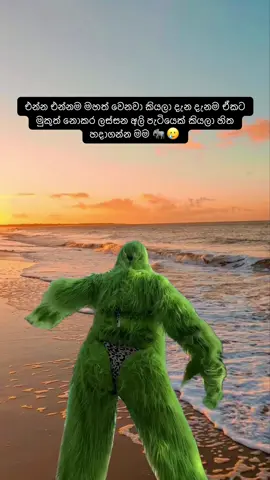 #Meme #MemeCut #fypシ゚ #foruyoupage 