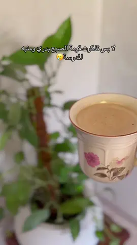 #الشعب_الصيني_ماله_حل😂😂 #مالي_خلق_احط_هاشتاقات #foryoupage #viralvideo #explore 
