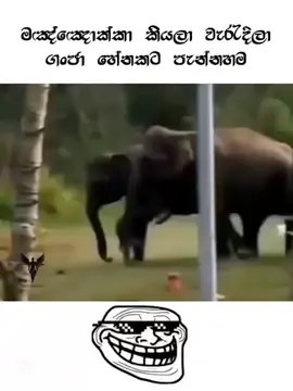 විපතක්නෙ සිදුවෙල තියෙන්නෙ💔😅