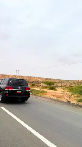 Madaxweyne Cirro oo barbara u anba -baxay#farhangahnoug #madaxweynecirro 