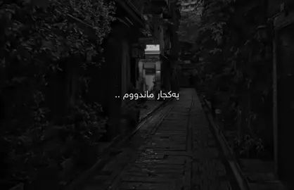 دڵیشم شکاوە🖤. #سامۆsamo #samo_m7 #tiktok #foryoupage #foryou #fyp #viral #active 