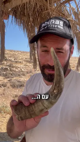 מה פלס באירוע לא הבנתי