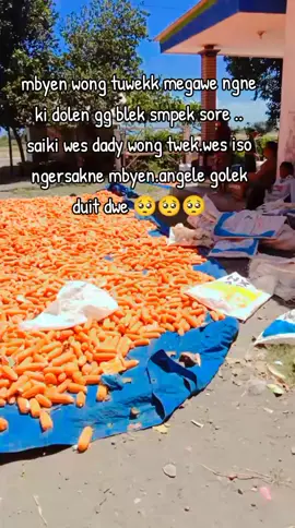 endang dipecok jagunge okeh jagung ilang 🤣🤣🤣#promomakanmerdeka #fyp#jember #jagung 