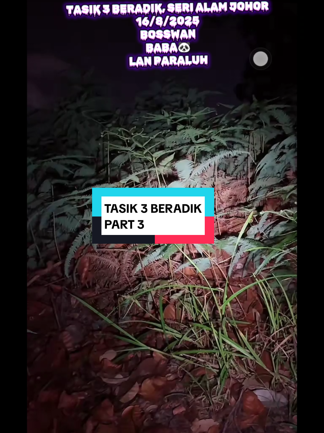 16/8/2025 || TASIK 3 BERADIK SERI ALAM JOHOR || PART 4 #bosswan #syaffiqsahli #lanparaluh #exploremalam👻 #merasaisuasanamalam 
