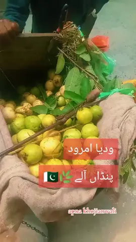 ودیا امرود۔ 🇵🇰🌿پنڈاں آلے  پنڈ اپنا خوجیانوالی ضلع گجرات ۔ #pind #pindawale #foru #forupage #apnakhojianwali  @Mufasa 𓃬 @Pardesi_warraich @MUGHALSTAR 07 @Scorpion 🦂 