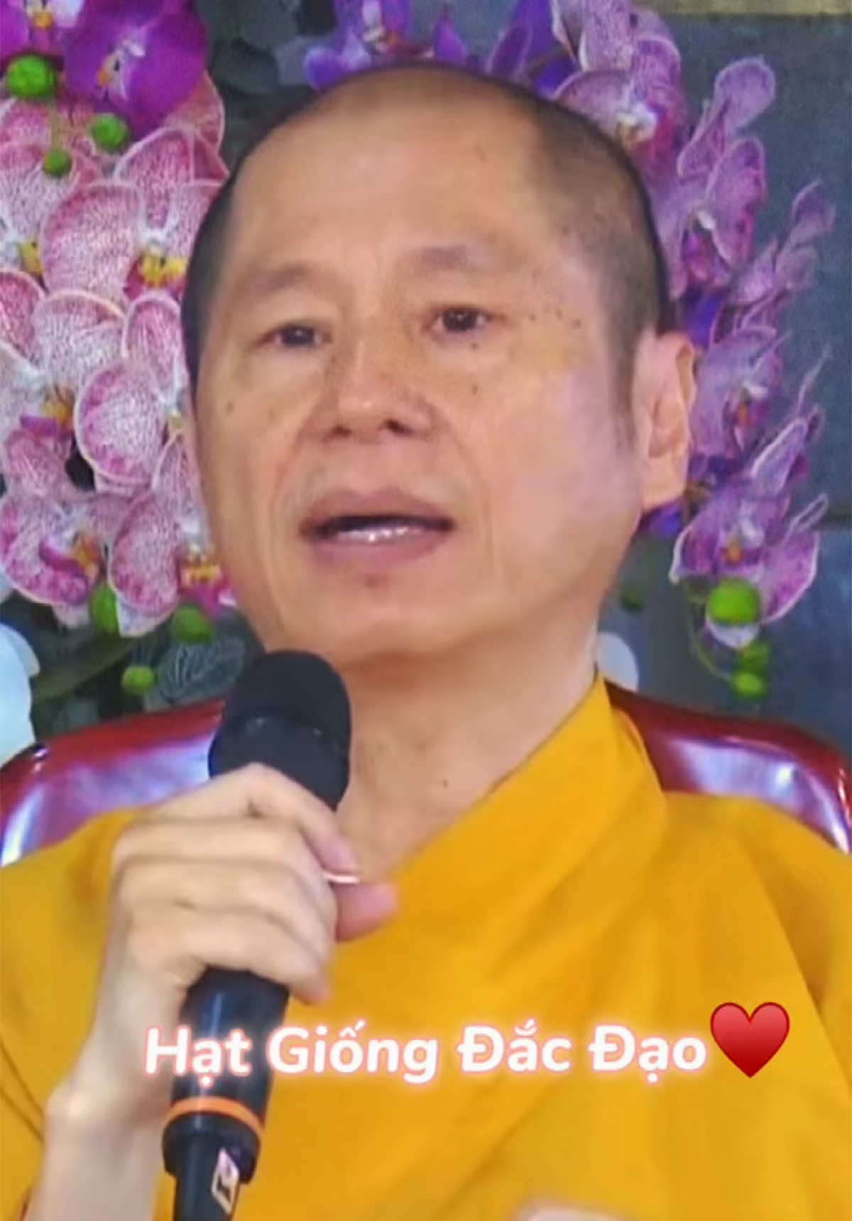 #phatphapnhiemmau🙏🙏🙏🌷🌻🌷🌻 #phatphap #phat #phatgiao #phatphapvobien #phatgiaovietnam #tttsthichchanquang #thaythichchanquang #daolycuocsong #tamtrang #daoly #nammoquantheambotat🙏🙏 #nammodaibiquantheambotat #thichchanquang🙏🙏🙏 