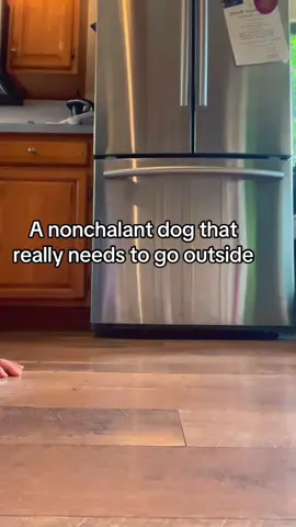 #dogsoftiktokviral #comedy #skit 