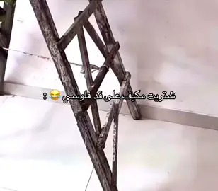 #تيم_ريتش #الشعب_الصيني_ماله_حل😂😂 #حركت_الكسبلور❤️😂💬 #fypシ 