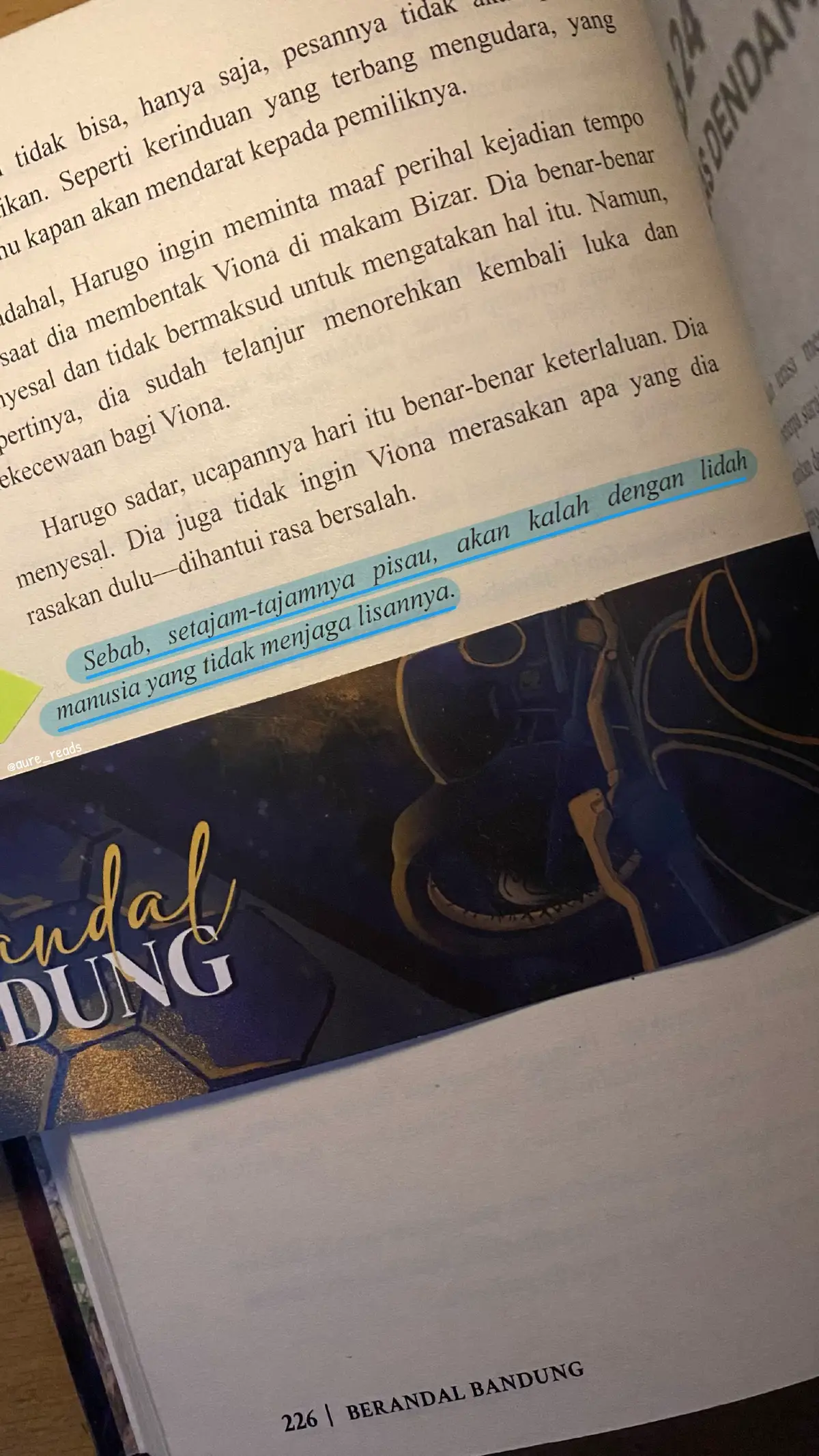 #berandalbandung #novel #foryou #foryoupage 
