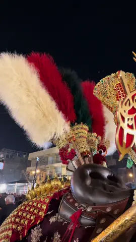 Zuljinah#20safarchelumimamhussainas😭 #20safar #chehlum_imam_hussain #zuljinah_mola_imam_hussain_as #yazehra #bibifatimazahraص #tiktokgrowmyaccount #unfreezemyacount 