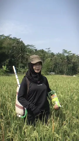Padi tidak tumbuh maksimal? pakai ferti joss solusinya @Sudi Tani 😍🔥  #petanimuda #petaniindonesia🇮🇩🇮🇩🇮🇩🌿🌿 #masukberandafyp #fyp #petanicantik 
