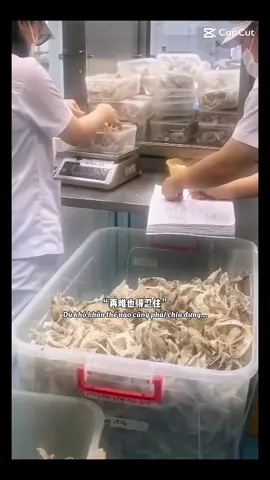 十一年过去了，我依然怀念鸟巢之家。如今，我正努力用自己的双手重建它。我经历了那么多艰辛，却没有人陪伴……名利的争夺，只能由我一人承担。