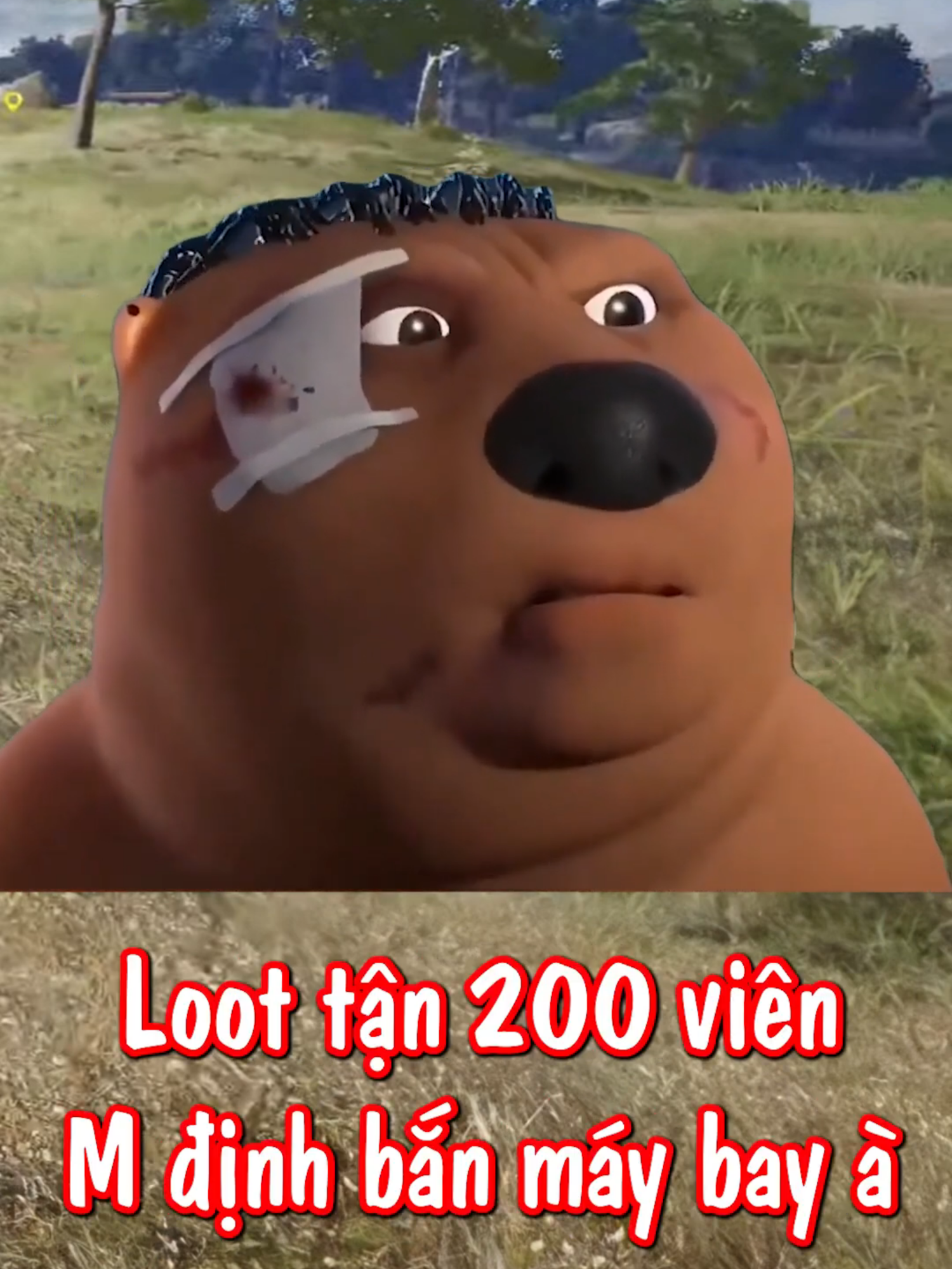 🤣 TAG người bạn hay 