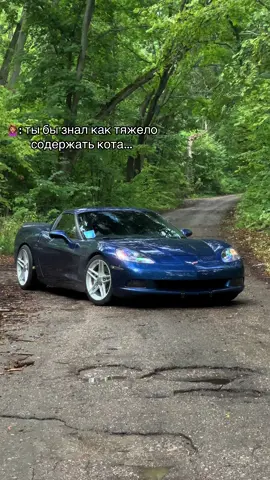 мм, мху.. #corvette #c6 #v8 #samara 