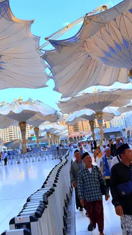 #المدينه المنوره#