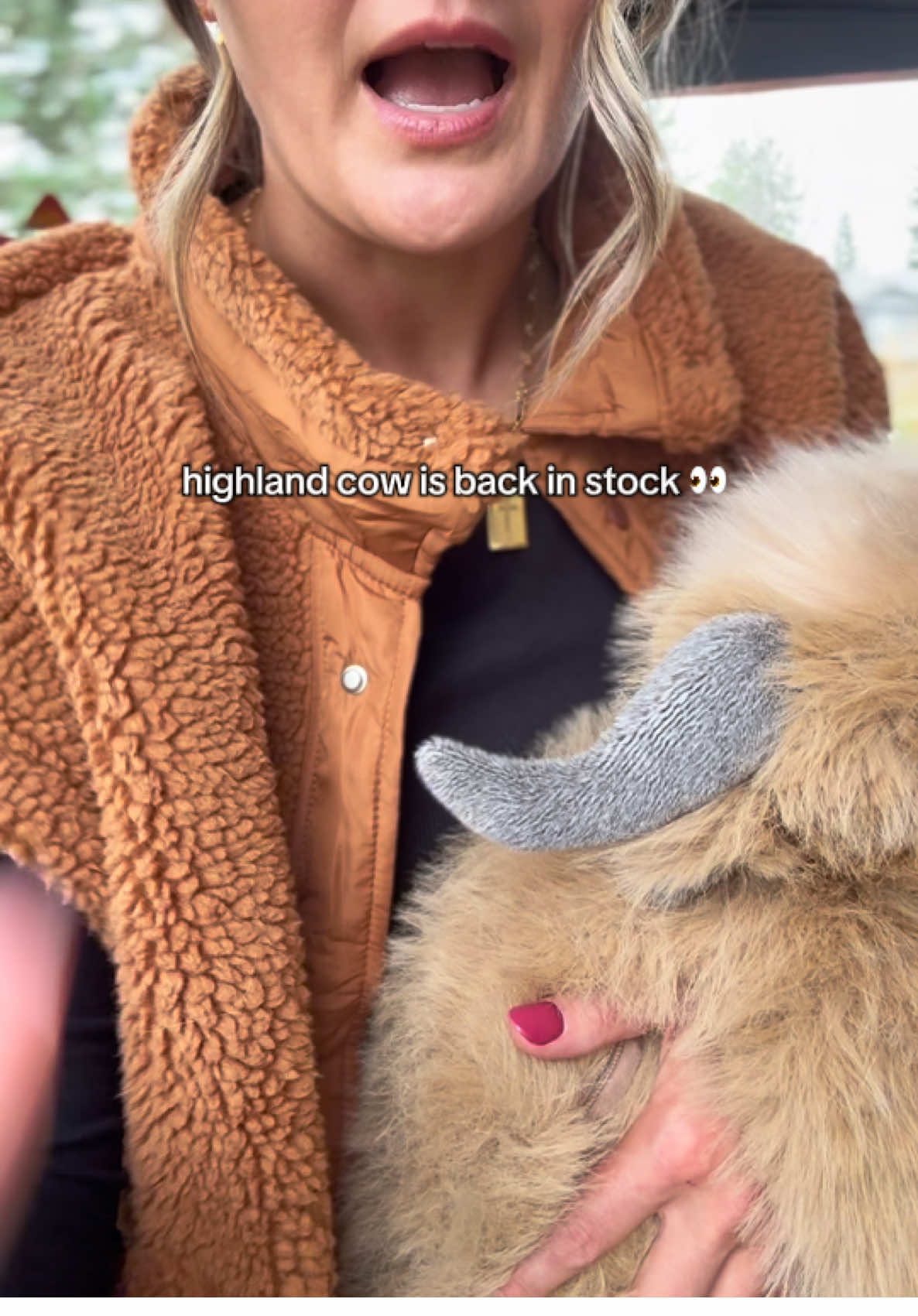 This highland cow weighted stuffie makes such a cute Christmas gift #stuffie #stuffies #weightedstuffie #giftsforkids #stuffedanimal 