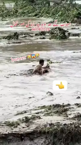 #viral #video #foryou #page # #foryou 😭💔😭😱@⭐❣️syed Asghar shah❣️⭐✍️ @arsalan agha @جہانزیب کاکڑ @AKS SPORTS @Naseeb Agha 