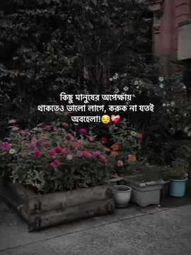 😌❤️‍🩹 #status #foryoupage #unfreezemyacount #growmyaccount #afjal_780 @TikTok @TikTok Bangladesh @tiktok creators @For You House ⍟ 