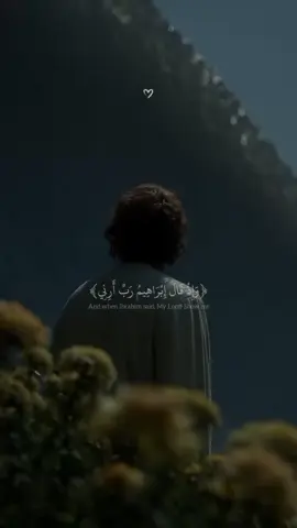 #duet with @𝑨𝑳 𝑸𝑼𝑹𝑨𝑵 |القرآن #محمد_ديبيروف 
