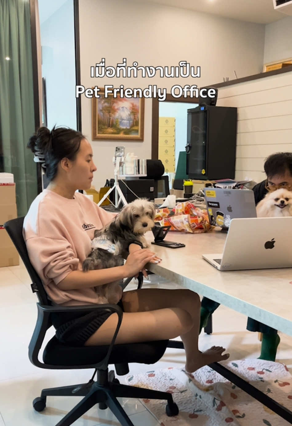 ลดความเครียดในการทำงาน 🥰 #โมจิโกะ  #mojiko  #petfriendly 