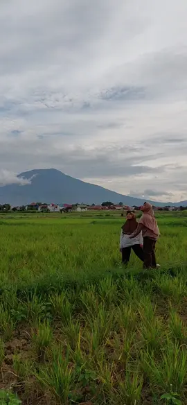 Nikmat Allah Mana Lagi Yg Saya Dustai Bisa Tinggal di Daerah Yg Pemandangan nya Seindah Ini 🥰😍😘