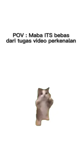 [SIAP MENJADI SOBAT MAHAKARYA GERIGI X UKM EXPO ITS 2025] 🦊💠 Kenalin, aku Stefany salah satu dari Sobat Mahakarya!👋🏼 Aku semangat untuk menjadi bagian dari birunya ITS dan menggali potensi dari minat bakat dalam diri aku! Disuruh cerita 👻👇🏻 Perasaan waktu tau keterima di ITS jelas seneng BANGET+terharu (karena ga nyangka aja ITS mau menerima cintaku 😽🫰🏻). Rencana untuk mengembangkan minat dan bakatku sii mungkin lewat kepanitiaan-kepanitiaan atau UKM yang ada.  Kenali Minatmu, Gali Bakatmu! Bersama, Bersinergi, Jaya Almamaterku! @gerigiits @ukmexpo_its  #JogedBarengAro #ElevasiMahakarya #GERIGIxUKMEXPOITS2025 #ITSSURABAYA