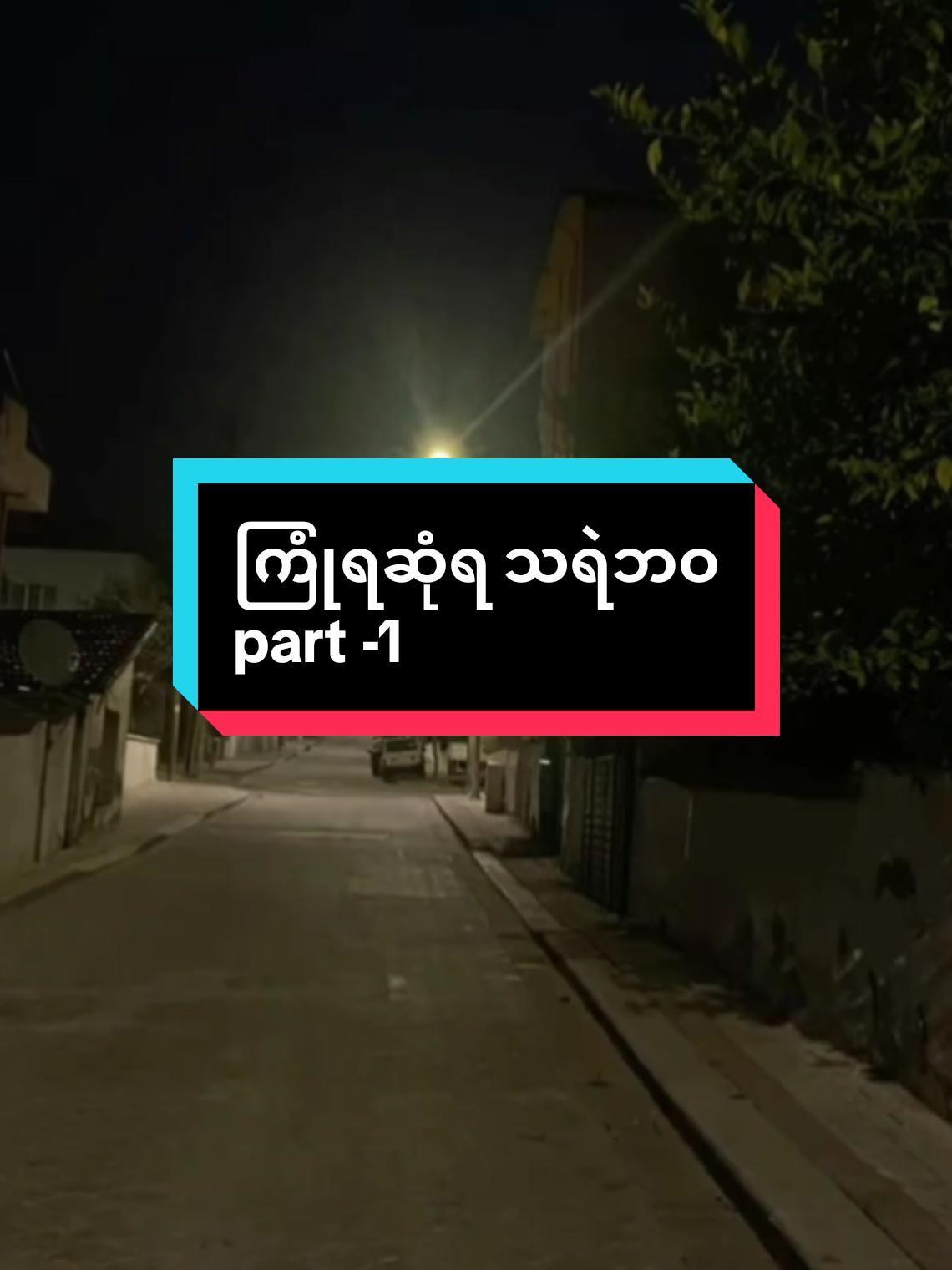 သရဲဖစ်တုန်းက #creatorsearchinsights #fyp #catsoftiktok #funnycat #catsoftiktok 