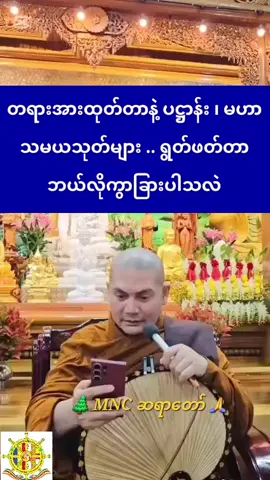 🍁တရားအားထုတ်တာနဲ့ ပဋ္ဌာန်း ၊ မဟာသမယသုတ်များ .. ရွတ်ဖတ်တာ ဘယ်လိုကွာခြားပါသလဲ🌿၊🌲 MNC ဆရာတော် 🙏#တရားတော်များ #မဟာပုရိသကျောက်ဂူတောရရိပ်သာ 