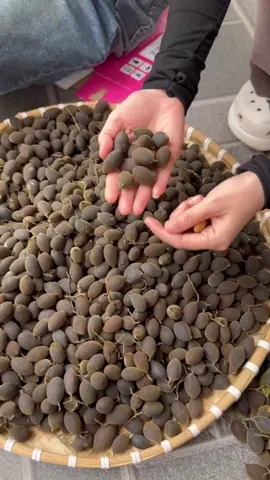 🥔Say rừng ( Trái Xoay - Trái Nhung ) đặc sản KBang-Gia Lai 🍃🍃      🔊 5 năm có một mùa .     👉 Say cuối mùa chín đều 100% , quả to to bằng ngón tay cái , lóc vỏ , bột nhiều moi người ăn quả tươi hay bóc ra lắc muối ớt đều ngon ăn bắt miệng lắm nha  🚩NÓI KHÔNG SAY Ủ SAY TRỘN  Chất lượng làm nên uy tín, bảo hành tới trái cuối cùng ! 😊 Chuyên Sỉ & Lẻ - SỐ LƯỢNG LỚN - SHIP TOÀN QUỐC Mọi người liên hệ hoặc ib em nha  - Say tươi nguyên trái - Say ngào đường muối ớt  Liên hệ 📞 : 0329924798