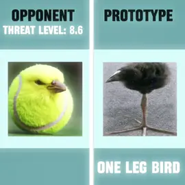 TERMINATION  #onelegbird #dayummm #goofybroo #memestiktok #fyp 