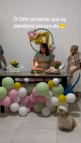 #aniversario #viral #dog #cachorro 