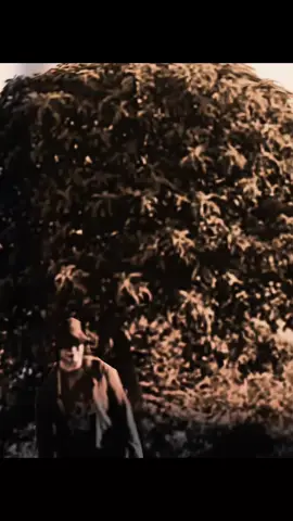 #kumpulanlagubarat #lagulawasnostalgia #lagubarat #lovesong 