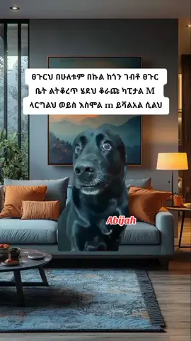 just for memes 👋