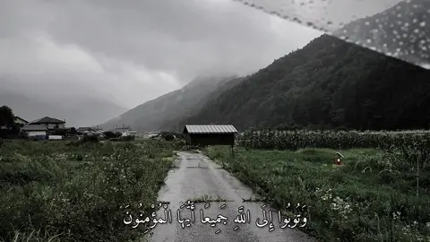 وَتُوبُوا إِلَى اللَّهِ جَمِيعًا أَيُّهَا الْمُؤْمِنُونَ لَعَلَّكُمْ تُفْلِحُونَ) ____________________________ سورة النور | ماهر المعيقلي  ____________________________ #quran #quran_alkarim #اذكروا_الله #قران_كريم #ماهرالمعيقلي 