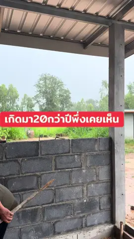 เกิดมาพึ่งเคยเห็น