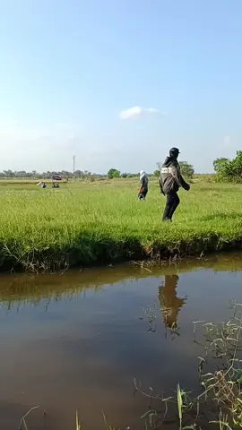 piye ngene iki bolo🤣