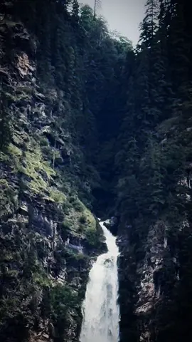 नेपालको सबैभन्दा अग्लो पचालझरना कालिकोट ! ३८१ मिटर उचाईबाट खसेको यो झरना अत्यन्तै मनमोहक, सुन्दर र आकर्षक पनि छ ! प्रचुर पर्यटनको सम्भावना बोकेको पचालझरना संगै, धुल छहरा र परम्परागत बस्तिहरुको मनोरम दृश्य निहाल्न सकिन्छ ! यति मात्रै होइन अर्गानिक खाना र रैथाने बालिहरु उत्पादन हुने ठाउँहरु पनि निहाल्न सकिन्छ !  कर्णालीमा पाइने, जौ, कोदो, फाफर, मकै, चिनो, कागुनो उत्पादन हुने ठाउँ हो ! आफ्नै रितिरिवाज, संस्कृति र परम्परागत लवाइखुवाई, भाषा र भेषभुषा प्रष्ट लिहाल्न सकिन्छ ! आउनुहोस् !  एकपटक पचालझरना यात्रा गरौँ !  पूर्णसिंह बम अनुराग 🙏