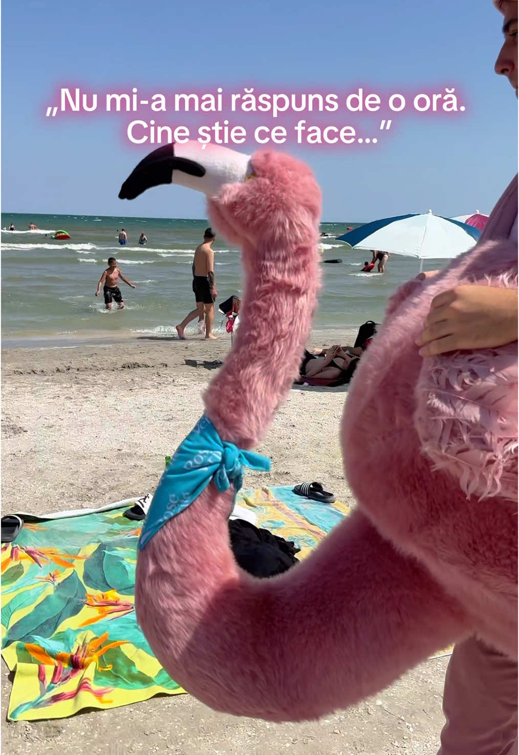 Voi ce faceți când ieșiți cu flamingii? 🍾 #365deziledevara #LaVidaEnRose #flamingolamare #litoralulromanesc #romania #roseverite #beciuldomnesc #funny #fyp 