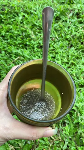 Hạt chia úc tốt cho sức khoẻ rất phù hợp trong các món ăn thức uống giảm cân #hatchiauc #suckhoe #depda #depdang #xuhuong 