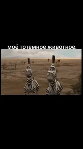 #марти #мадагаскар #madagascar 