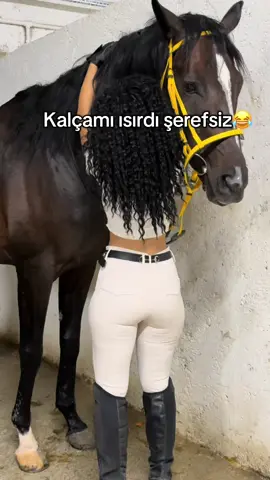 Erkek değilmisiniz hepiniz aynısınız😂