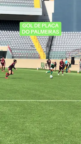 FAZ UMA PLACA PRA ELA! TAINA MARANHÃO ABRE O PLACAR CONTRA O FLAMENGO! PALMEIRAS NA FRENTE! #BrasileirãoFeminino #tiktokesportes #futebolfeminino 