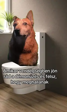 😂😂😂