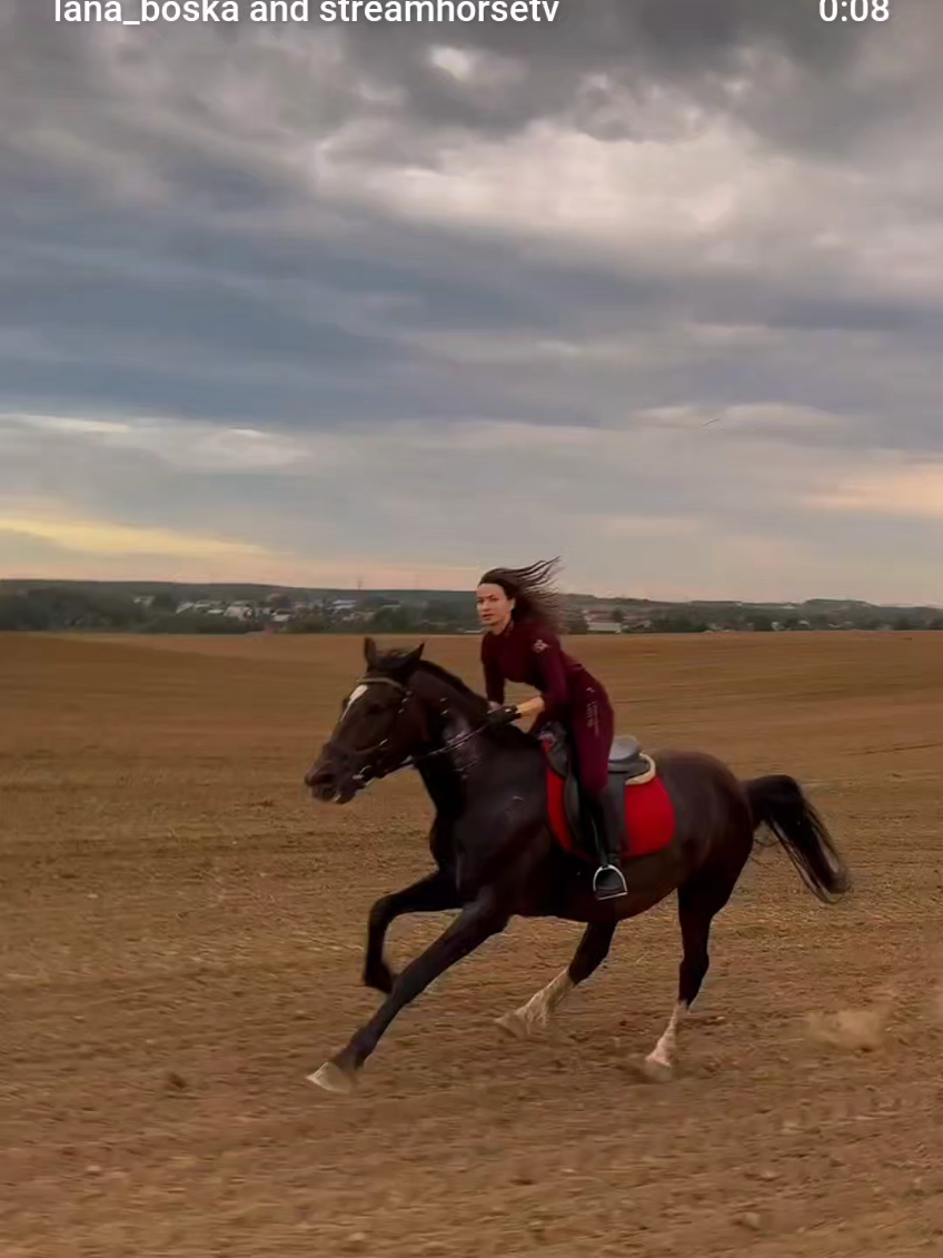 stay wild 🏇  🥰🎥 @lana_boska #horselife #horseworld #horselover #horsriding #sunsetandhorses 