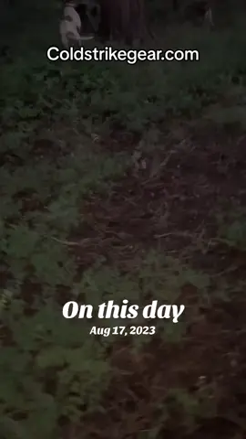 #onthisday 