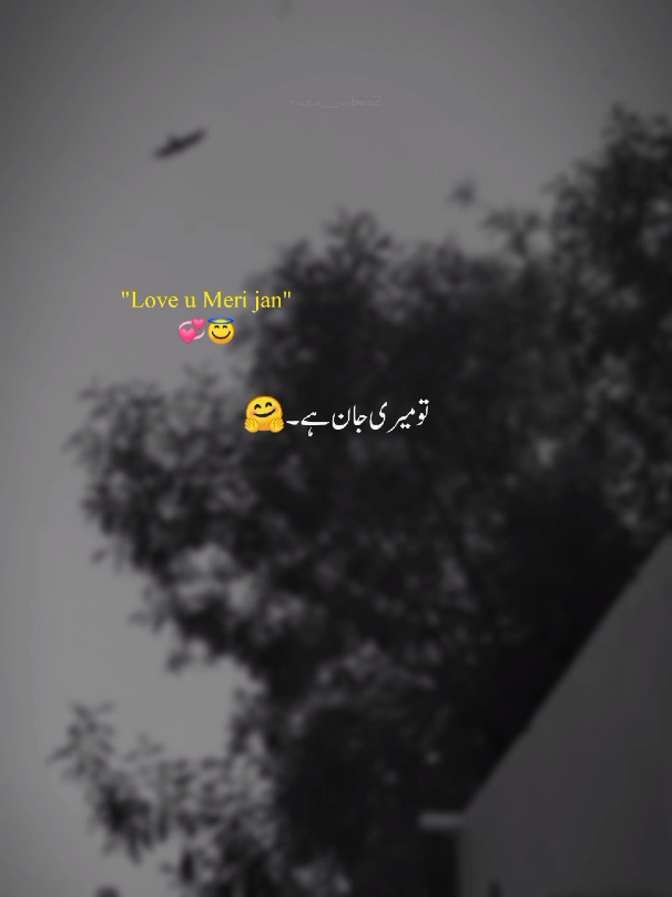او پاگل تو تو میری جان ہے 🤗🙈#asthectic #1millionaudition #foryoupag #poetry #razaraza_vibes2 