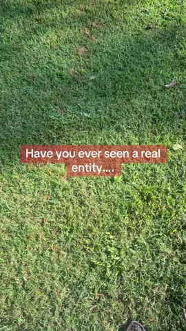 The truth is out there .. #l_u_c_e_r_o117 #paranormal #entities #scarytok #haunted 