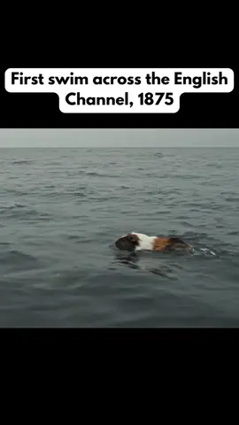 First swim across the English Channel, 1875