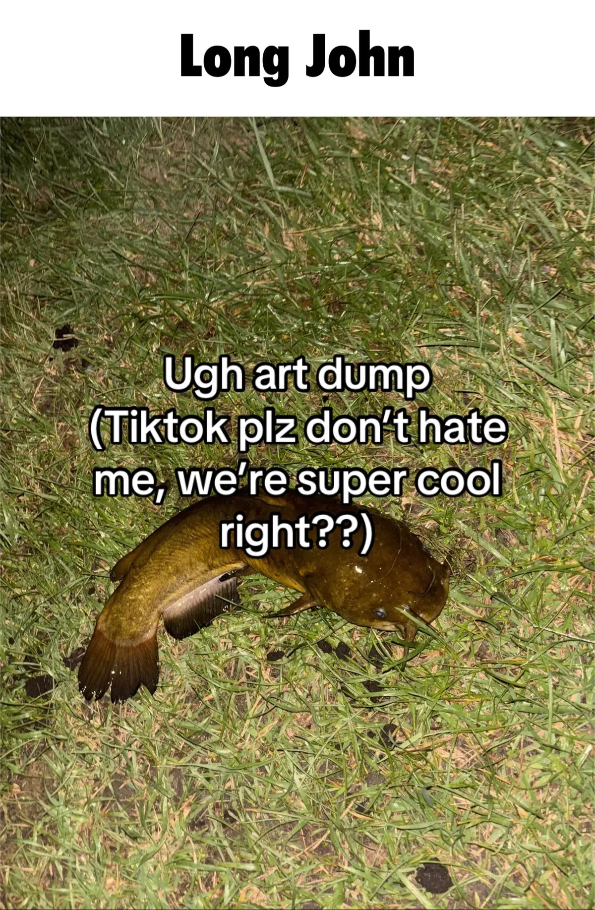 TIKTOK, I NEED TO USE MORE THAN 5 HASHTAGS. PLEASE. #art #artist #fandoms #artdump #fypシ 