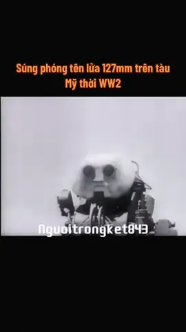 Giữa biển khơi mênh mông, trên boong những con tàu đổ bộ Mỹ mùa hè 1944, dàn súng phóng tên lửa 127 mm xếp thành hàng như những mũi giáo thép chĩa vào bờ. Chúng không phải thứ vũ khí thanh lịch như pháo hạm, cũng chẳng tinh vi như radar — mà là sự thô bạo của chiến tranh cô đặc thành kim loại và thuốc phóng. Khi lệnh khai hỏa vang lên, cả con tàu như rùng mình, những quả tên lửa dài 5 inch gầm thét lao vút, để lại vệt khói trắng đục quấn vào gió biển. Chỉ trong vài giây, cả bãi cát, công sự và lô cốt nơi bờ xa bị nhấn chìm trong biển lửa. Đó là thứ hỏa lực được tạo ra không để đọ chính xác, mà để dọn sạch mọi ý chí kháng cự, mở đường cho những con thuyền chở lính áp sát. Những người lính trên tàu khi ấy biết rõ: mỗi lần bấm cò, là một lần họ gửi tới bờ bên kia không chỉ đạn, mà cả lời tuyên bố lạnh lùng của chiến tranh: Chúng ta đến đây, và sẽ không dừng lại. #theodonglichsu #lichsu #nguoikesu #history #camxuclichsu 